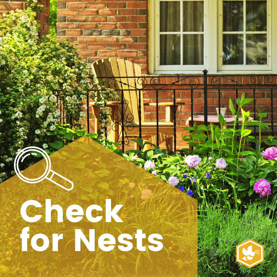 Check for Nests