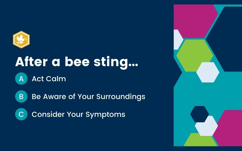 ABCs of Bee Sting allergic reaction time frame