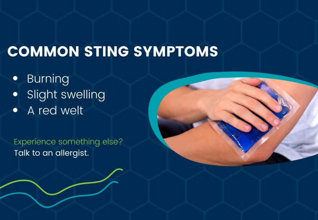 bee sting allergic reaction time frame common symptoms