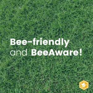 Bee friendly