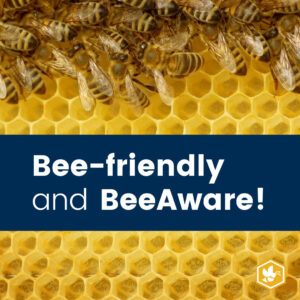 Bee friendly