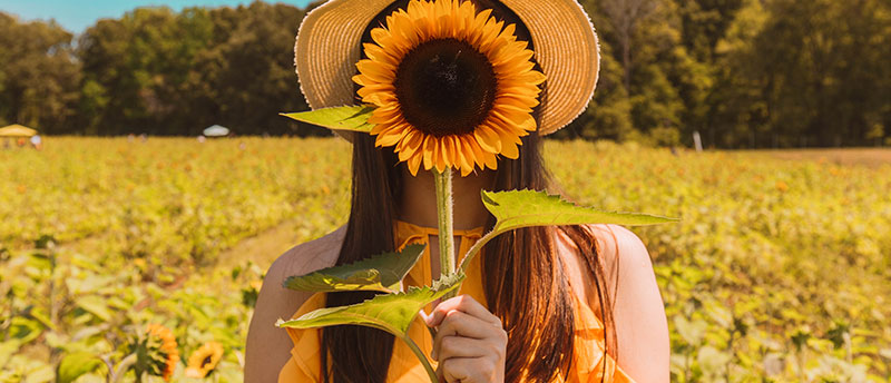 girl holding flower in flower field not avoiding bee stings