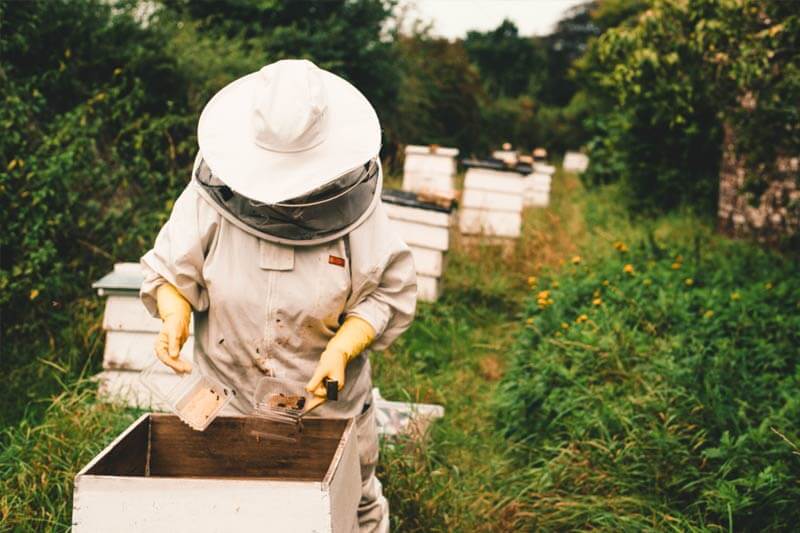 Protective bee suit