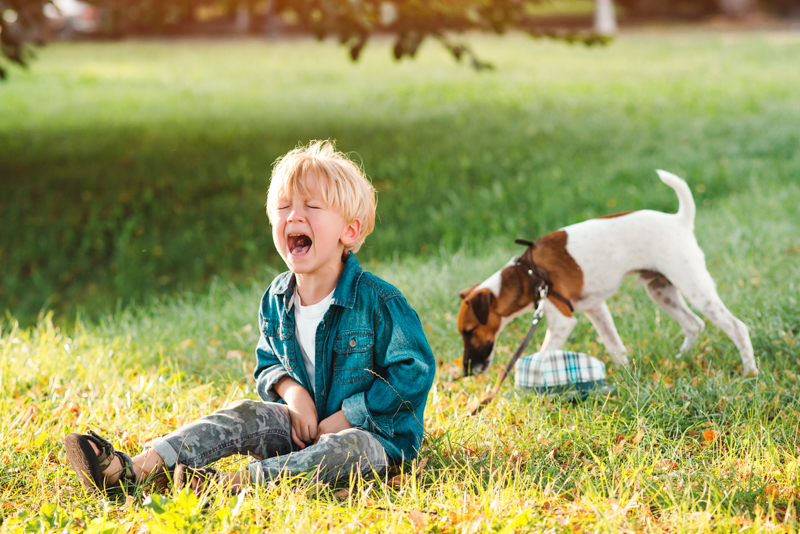 how do you know if your child is allergic to bee stings