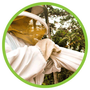 beekeeper putting on protective gear