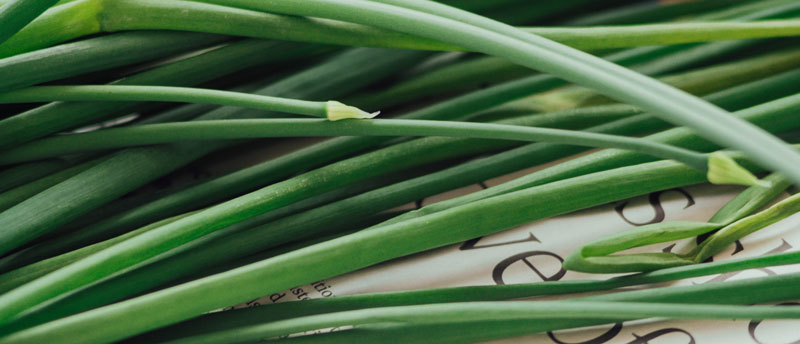 lemongrass naturally deters wasps