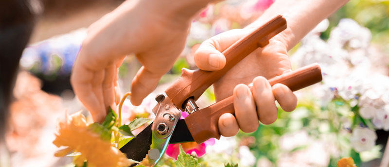 woman gardening after discovering a bee sting allergy