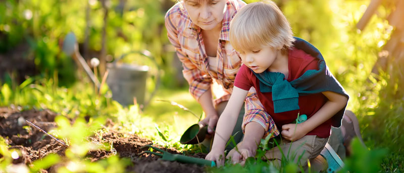 people filling hole in garden